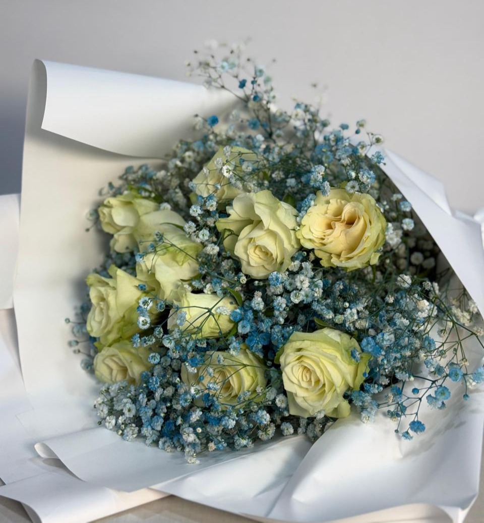 Cream roses surrounded by blue baby's breath in white wrapper